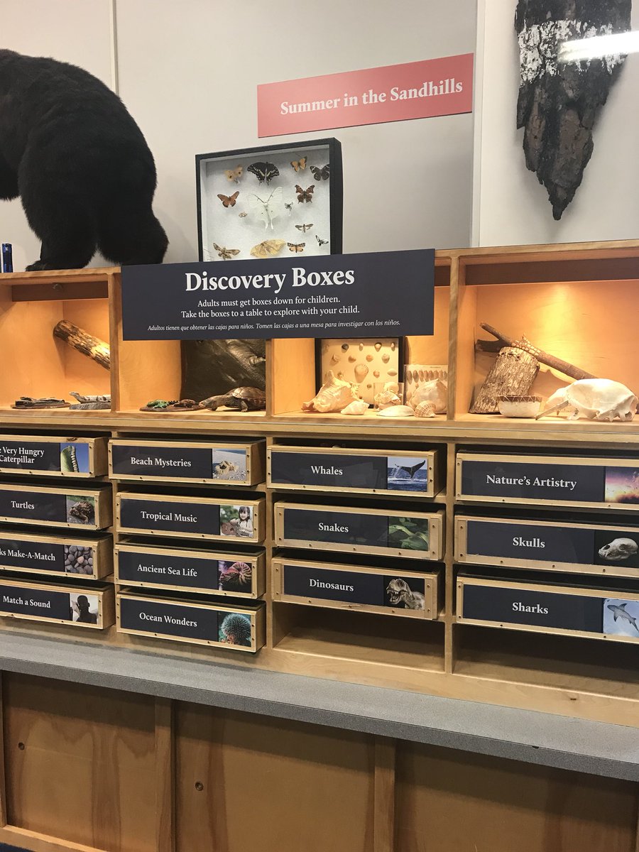 Love the setup of Discovery area #NorthCarolinamuseumofnaturalscience #hse7851