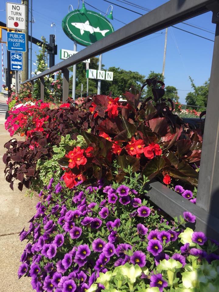 The #DogfishInn sure is looking good thanks to ‘Lewes in Bloom’ and their amazing flower box skills! 🌸🌼🌹🌻 #INNterestingLewes