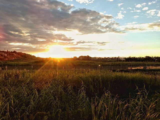 *Countryside*
.
🌄
.
#igersroma #igersitalia #igerspuglia #igersbat #yallerspuglia #batview  #volgopuglia #loves_united_apulia #puglia #puglialovers #italia365 #pugliando #coloridipuglia  #versosud #travelgramitalia  #infinity_italia #shotz_of_puglia … ift.tt/2N8hAPw