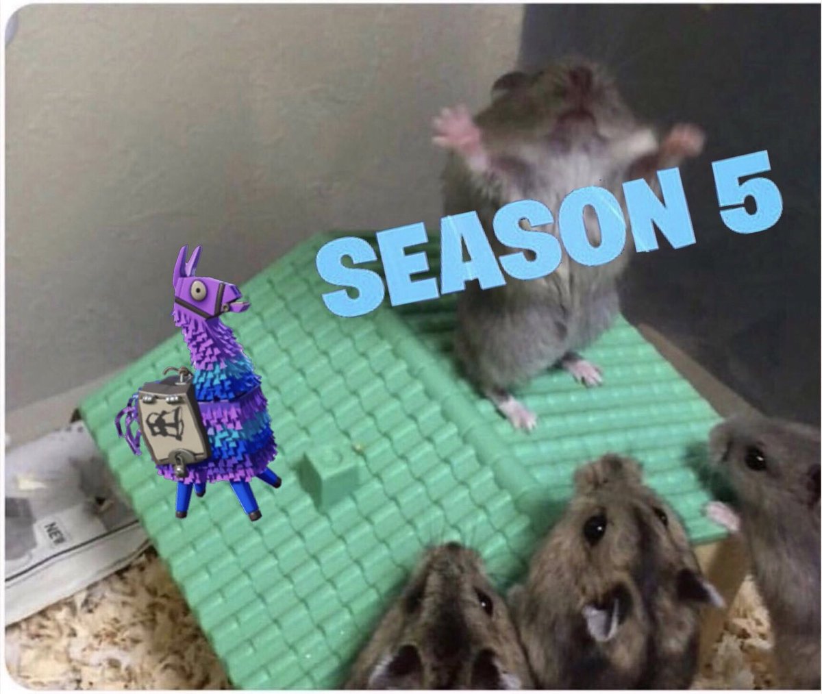 Game York On Twitter Fortnite Season 5 Is Out In A Couple Of Days And I Cannot Wait Give The Fortnite Hamster Squad Some Love They Are Excited Fortnite Hamster Won T Shut Up Fortnite Hamster Won T Shut Up Game York On Twitter Fortnite Season 5 Is Out In A Couple Of Days And I Cannot Wait Give The Fortnite Hamster Squad Some Love They Are Excited