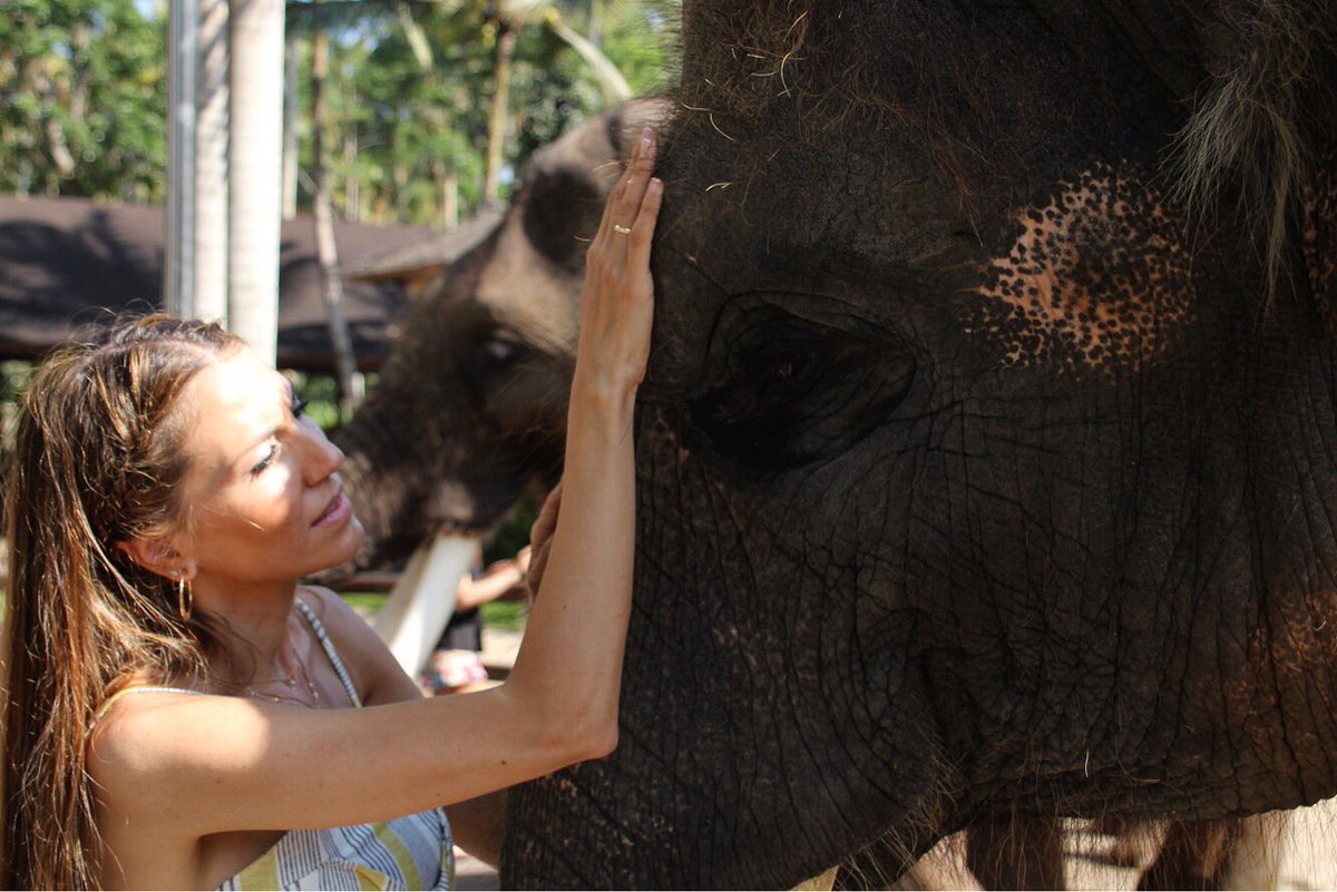 The most beautiful experience! 🐘❤️ #Bali #elephantsbali 🌿