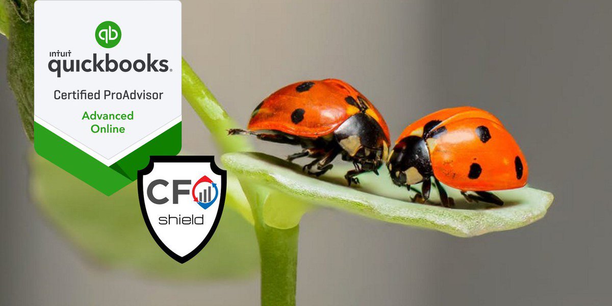 FredTateCFO's tweet photo. Does it bug you that your books are not balanced?  We can help. https://t.co/T2r2ss8SUW #CFOShield #Bookkeeping #Quickbooks https://t.co/UZGT3VLDiJ