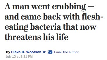 clairemcnear's tweet photo. find someone who loves you as much as the washington post loves the Horrifying Parasite And Disease beat https://t.co/uaEqF56gII