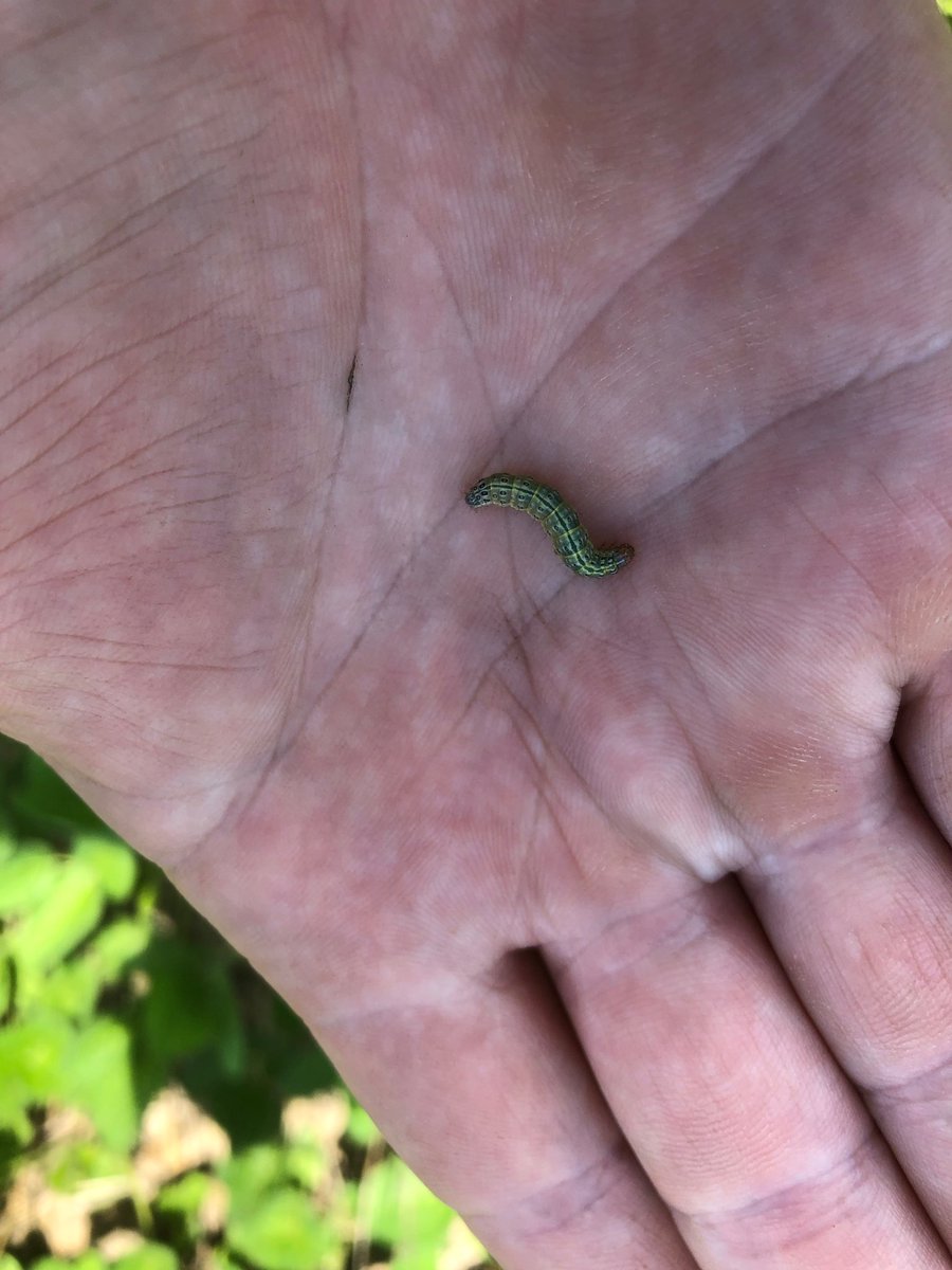 Jason Mefford CPAg tweet media