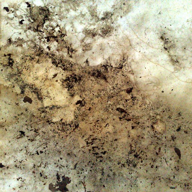 NATURE PAINTED THIS. Literally.
🖌
This week's artist appreciation post is dedicated to Jacek Tylicki, who, in the early 70s, began planting blank canvases in the ❤️ of nature. This one traces the activity of a grass meadow over four days - wind, grow… ift.tt/2L5a7Qw