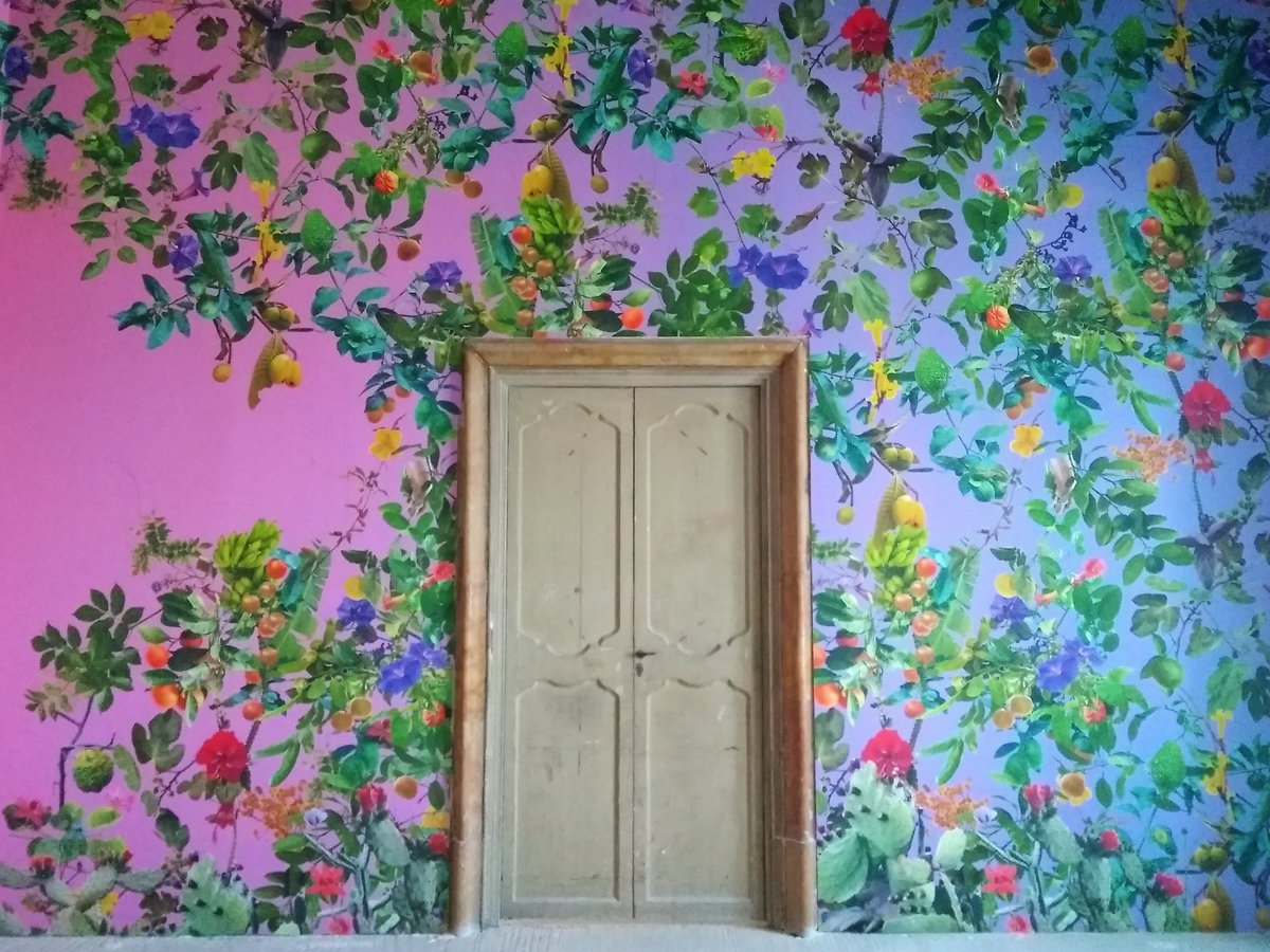 SelinaOakes's tweet photo. In Palermo for @ManifestaDotOrg this week - fantastic to see disused buildings opened up again. Thanks Chiara and Rosella from the team for the insightful conversation, more tomorrow #planetarygarden 🌱🌿🌱🌾🌱 https://t.co/TWcVSRantP
