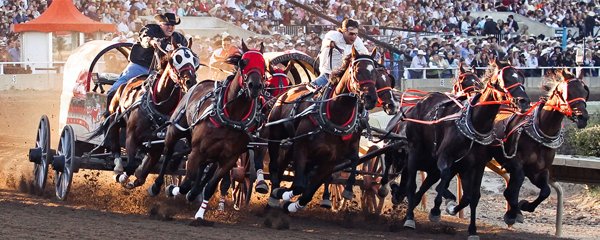 The Greatest Outdoor Show on Earth is currently underway! <a href="/calgarystampede/">Calgary Stampede</a> acts as a barometer for how Calgary’s economy is doing. Check out our blog to learn more: calgarychamber.com/resources/blog…