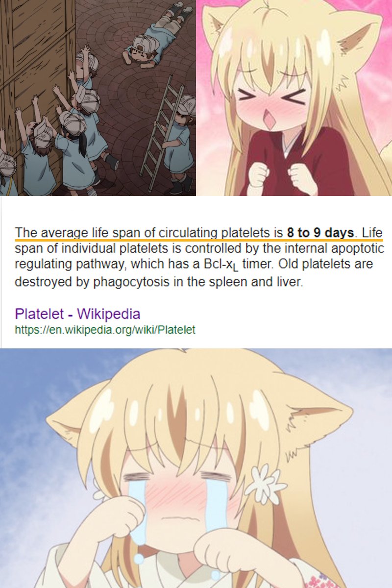 Platelet, Cells at Work! Wiki