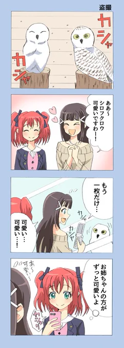 ルビィちゃんがダイヤちゃんの写真を撮る四コマです 