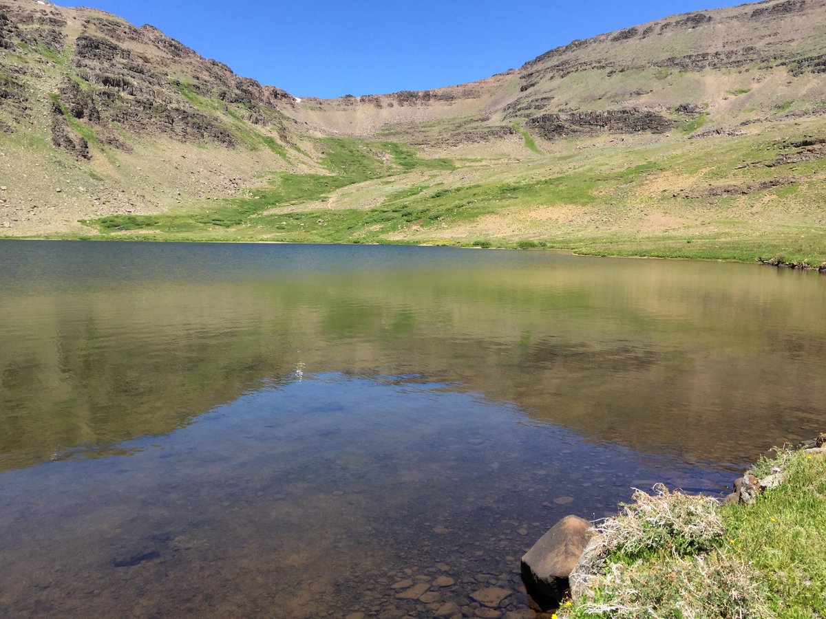 BLM Oregon & Washington tweet media