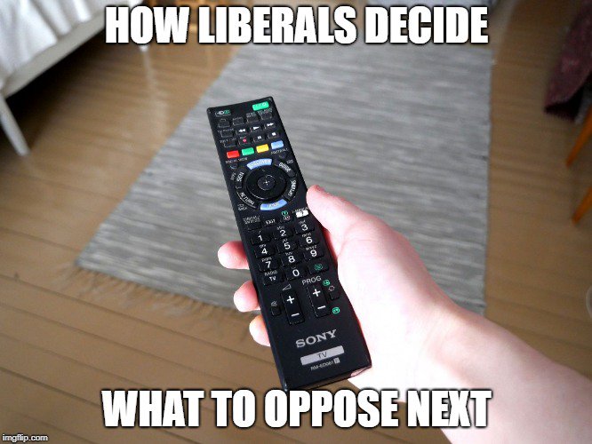 MtnrMS's tweet photo. #Liberals https://t.co/Ts2gscZks1