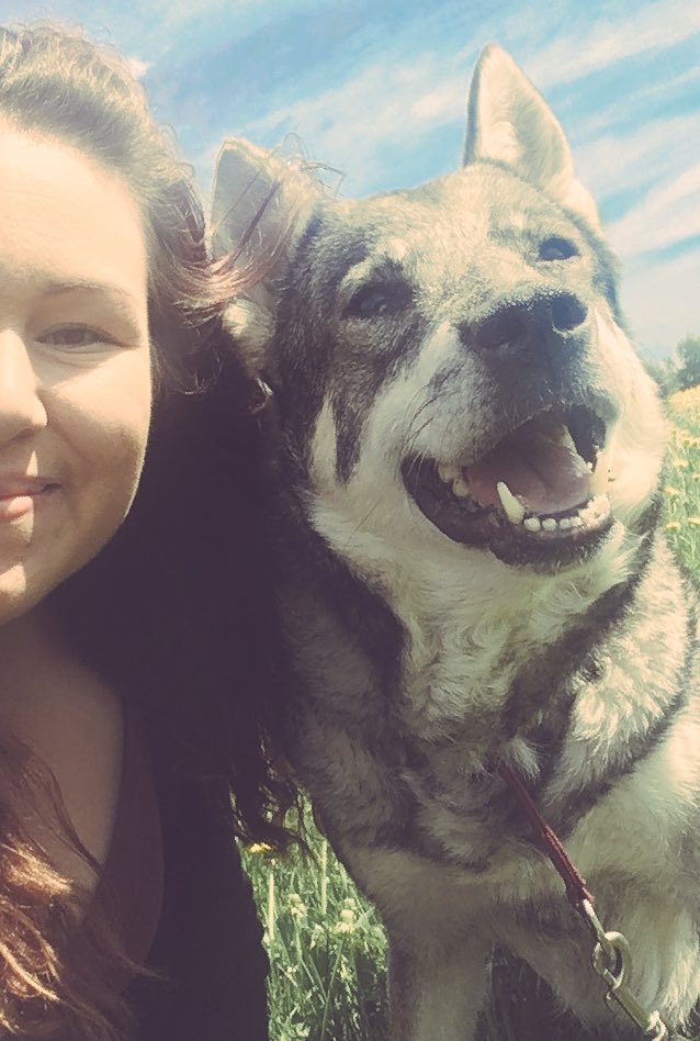 AmySolitudeStar's tweet photo. Cant believe its already been 6 weeks since i said a last goodbye💔💔 #iLoveYou #jamthund #sweden #RIP #MissYou #fenja https://t.co/EcSL9LKXpW