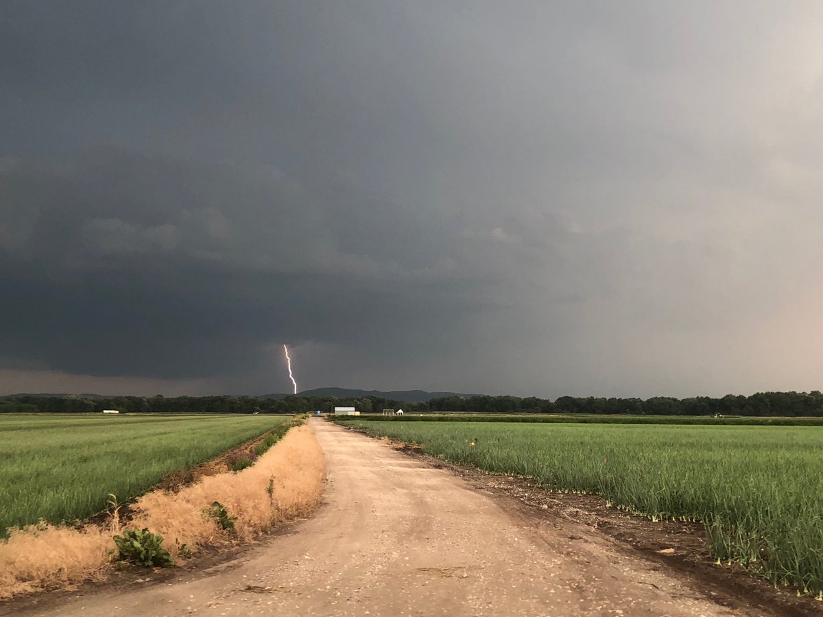 ChrisPawelski's tweet photo. Caught a lightning strike out in the onion fields. #Lightningstrikes #onions #classicpicture https://t.co/Fu6LLMFMG4