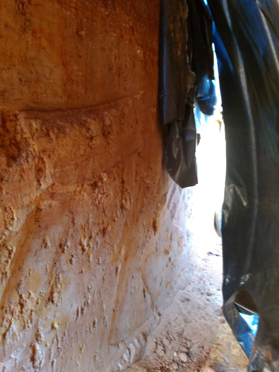 burndad's tweet image. We have done a germination test and it looks like 95% or better, we had grain tested at the local #grainflow site and the stats are good, practically the same as it went in. Also added a pic of the pitt wall.