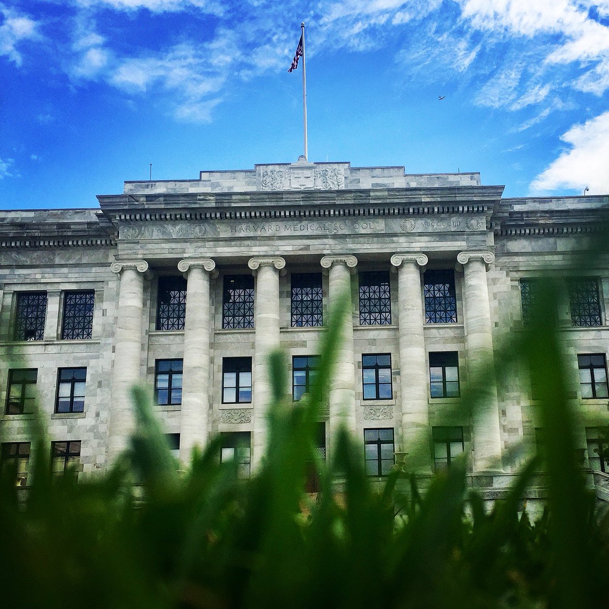 StacyCJones's tweet image. It’s happening! After our &amp;gt;2yrs amplifying voices of (previously) silenced students, they’re finally hiring a full-time @harvardmed #HSDM Director of Disability Services! Never underestimate power of our collective voice!#DocsWithDisabilities #DisabusingDisability #GoodTrouble