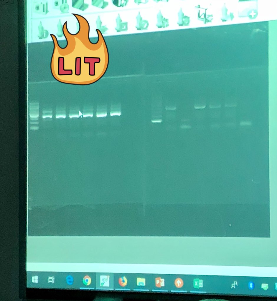 Biochemisme's tweet photo. Day 2 of #metabarcoding #teacher training, our gel on the left 💯 and for those that remember #dnahistory that’s Hershey’s Nobel prize and Hershey & Chase’s blender; Avery/McCarty/Macleod transformation! I ❤️ #biology #microbiomes #DNALC https://t.co/lTOxrtfpBc