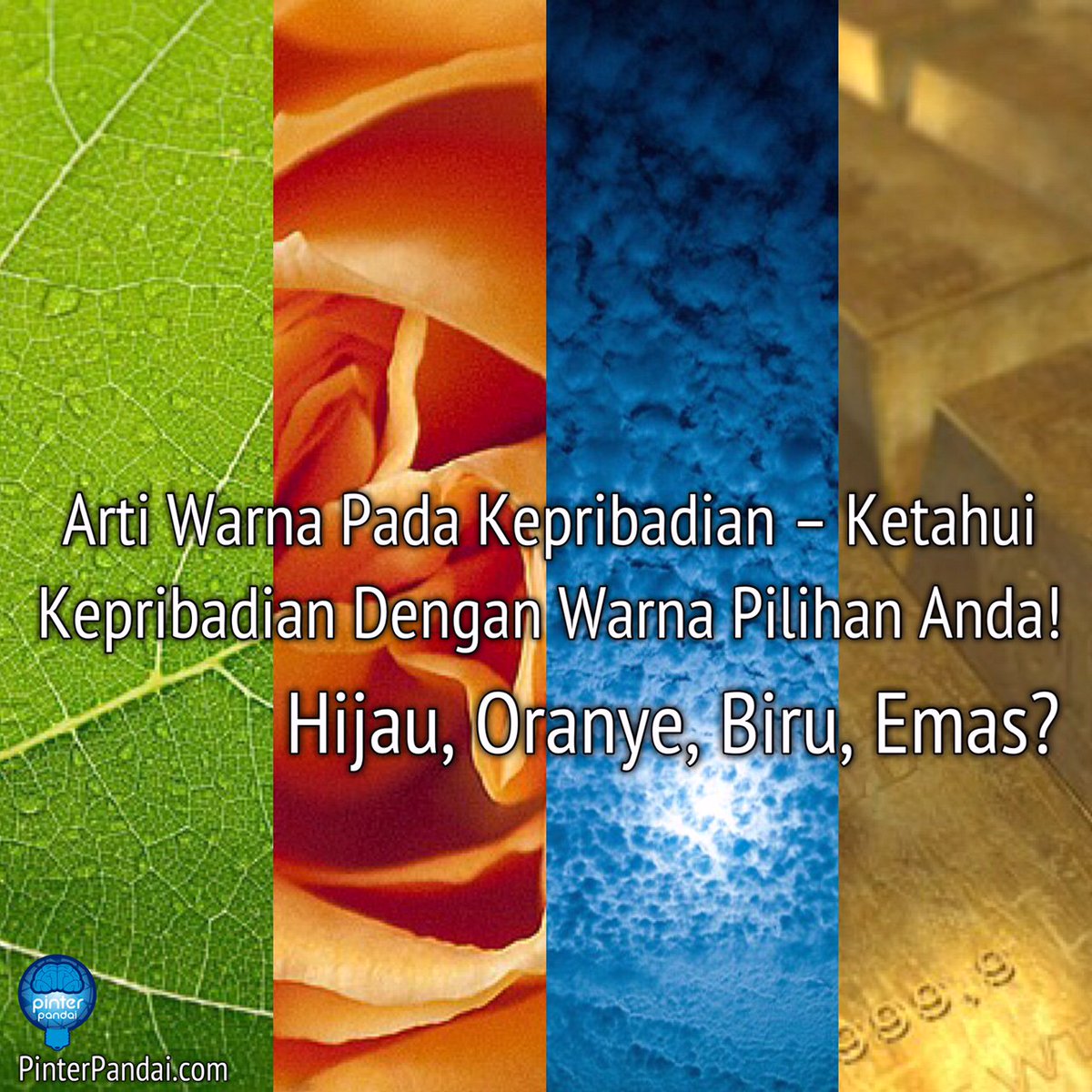 Artikata Hashtag On Twitter