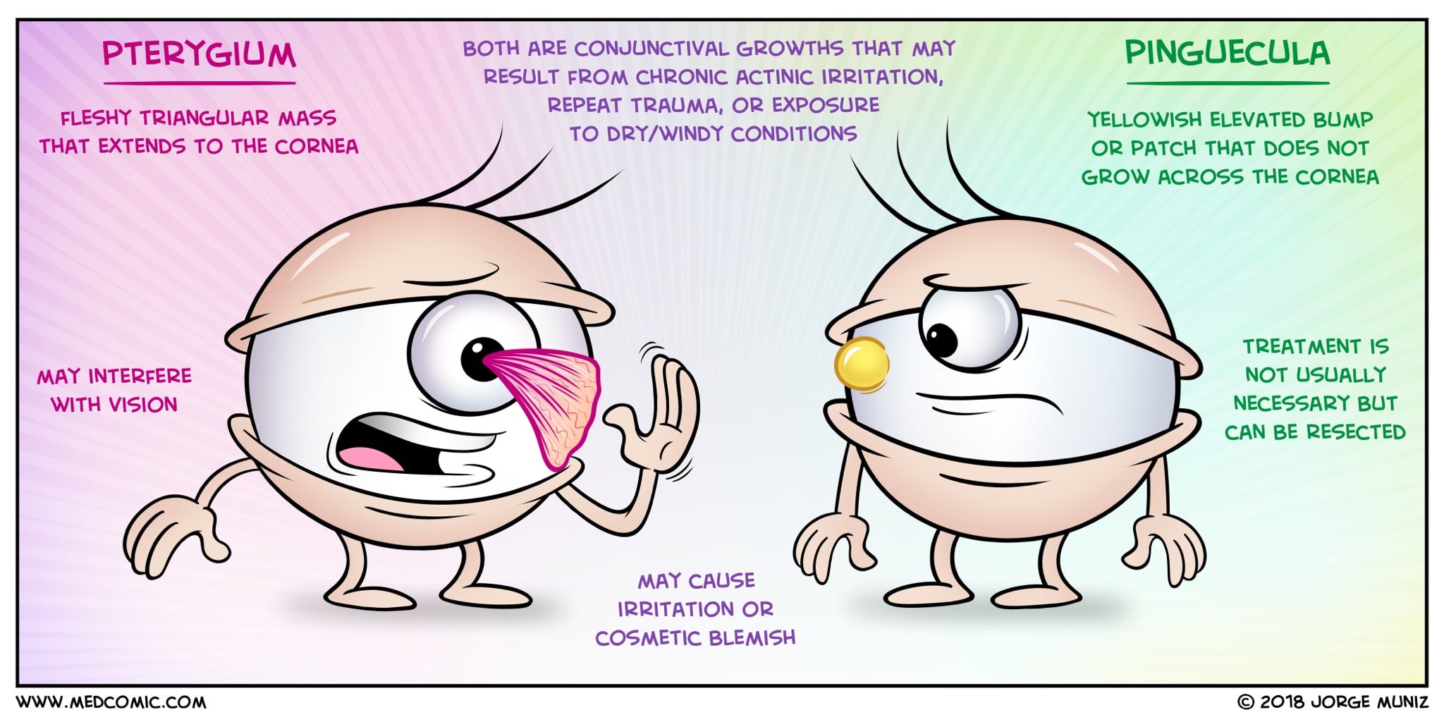 medcomic vs pterygium pinguecula eye nursing education medical cabinet med nurse optometry visit health practitioner anatomy ophtalmologie