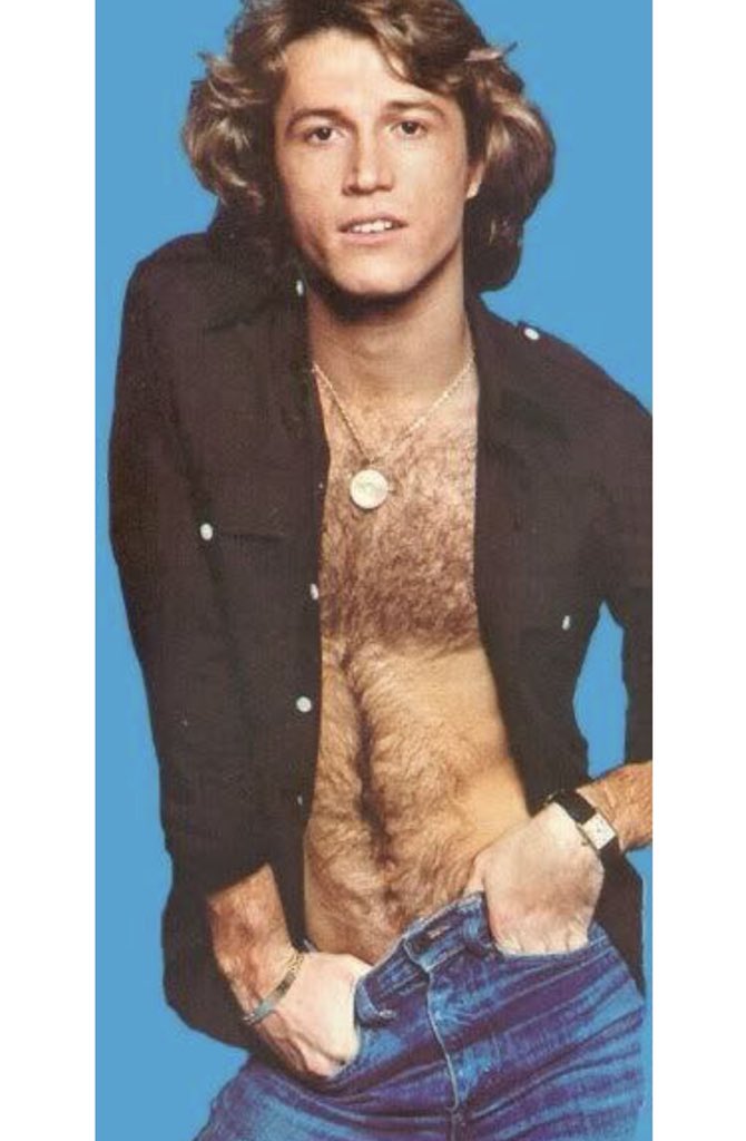 CremesComeTrue's tweet photo. @ReadyDressedGo I loved Andy Gibb. The Bee Gees brother. Iโm so fucking old ๐ #insightchat https://t.co/J8wXmmtzya