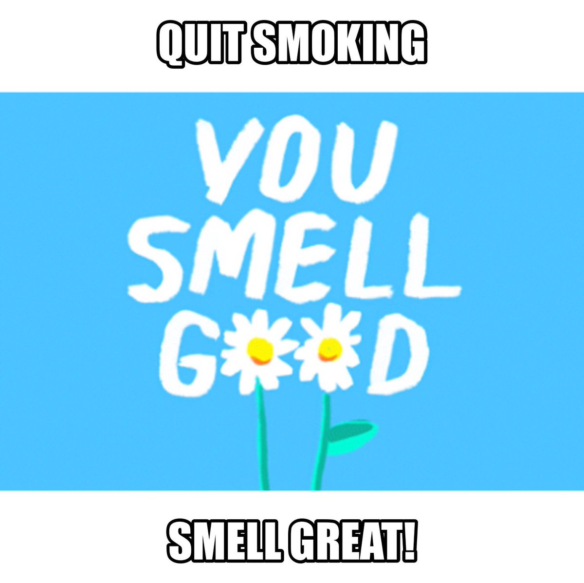 KicktheButtAust's tweet photo. Smell like roses not like smokes #kickthebutt https://t.co/N2uwrABTaa