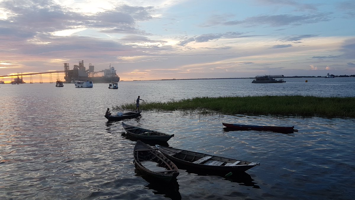 AaronCathers's tweet photo. Only a few days left of fieldwork in Santarém now. Really gonna miss these views to/from the lab! #fieldworkorvacay #amazonianarchaeology #archaeology #ceramics #santarém https://t.co/CztyzViHmY
