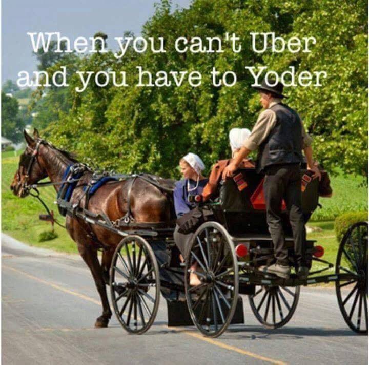 JNapalo's tweet photo. Ha!!!! Put a little hitch in your giddy-up π
#uber #IAmRelatedToYoders #PAUber #BigValley #Amish #HorseAndBuggy https://t.co/ixNfoFliIt