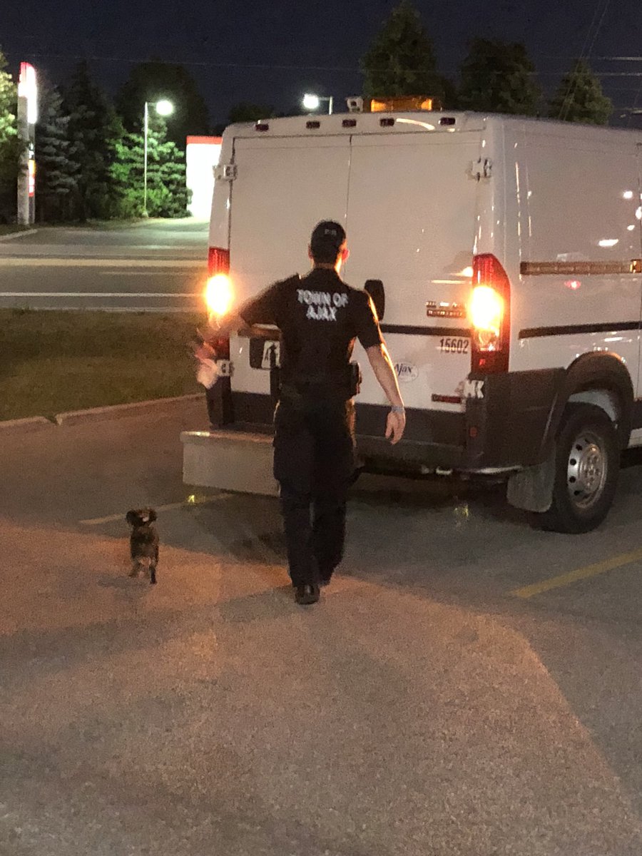 Update: “ROOFUS” just got picked up ... if the dog is yours please contact @TownOfAjax animal control. ^bb https://t.co/jpOQR8jEdh