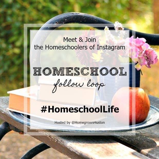 MEET THE HOMESCHOOLERS OF INSTAGRAM
Are you a homeschooling family? Participate in our Homeschool Follow Loop
.
1. FOLLOW ME @allthingsmomsblog
2. LIKE THIS POST &amp; COMMENT 📚
3. HEAD OVER TO @agracefulhome AND REPEAT THE STEPS.
. .
When you’ve returne… ift.tt/2ztskWv