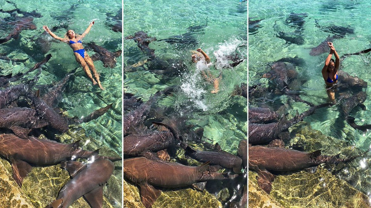 Shark bites University of Miami student in Bahamas bit.ly/2JcsMba https://t.co/C7kxl3Zwsr