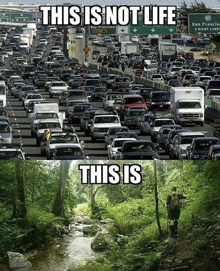 earthwalkercamp's tweet photo. Truth. https://t.co/mltd6iMi7b