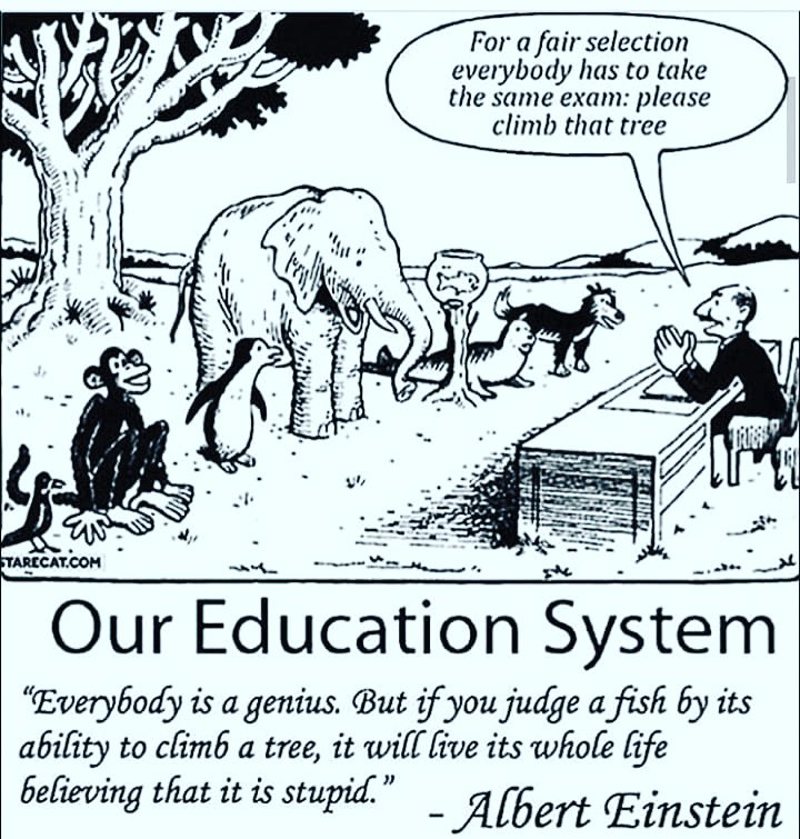 UrWellnessBuddy's tweet photo. What do you think? Let us know in comment section. 🙏
#OurEducationSystemIsMockeryIndeed
#timeforachange #UrWellnessBuddy #TOTD
#mainreason #for
#students #stress
#parentsdisappointment https://t.co/vMOjhC4m7M
