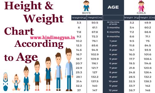 Healthchecksystems Height Weight Chart