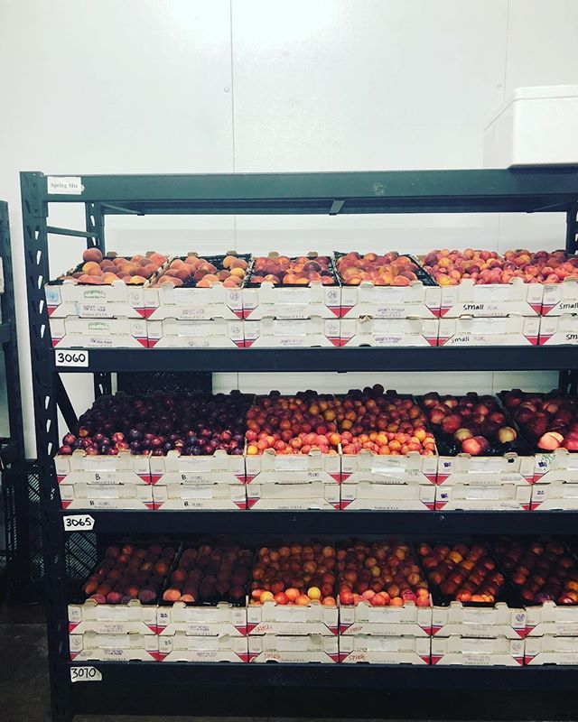 Peaches of many colors. 🍑 None of which get sent back to Georgia after their true beauty is discovered. Love all peaches friends! 🧡 ✊🏼 🌎 @specialtyproduce #findyourtonic ift.tt/2uloNDP