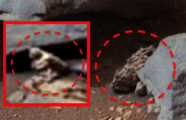 UFOSightings101's tweet photo. Aliens Found In NASA Mars Photo, Animals or Intelligent Beings? UFO Sighting News. 👽🛸👽
https://t.co/NfIPshekhI
#space #astronomy #biology #life #physics #god #angels #jesus #aliens #ET #tecch @CBS @NBCNews @CNN @TheSun @ABC @potus @realDonaldTrump https://t.co/SbvLx9aVZO