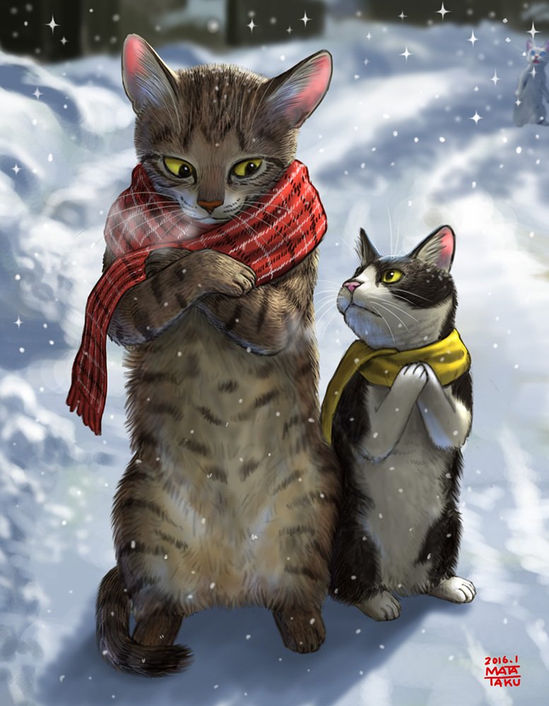 猫さんの毛の流れを図解したイラストのもふもふっぷりがすごいし参考になる 鼻のところが猫のつむじ Togetter 猫さんの毛の流れを図解したイラストのもふもふっぷりがすごいし参考になる 鼻のところが猫のつむじ Togetter