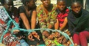secretsofaidsa1's tweet image. AFRICANS ARE SUFFERING WHILE THE POLITICIANS RIDE IN EXPENSIVE CARS buff.ly/2zCO8zh