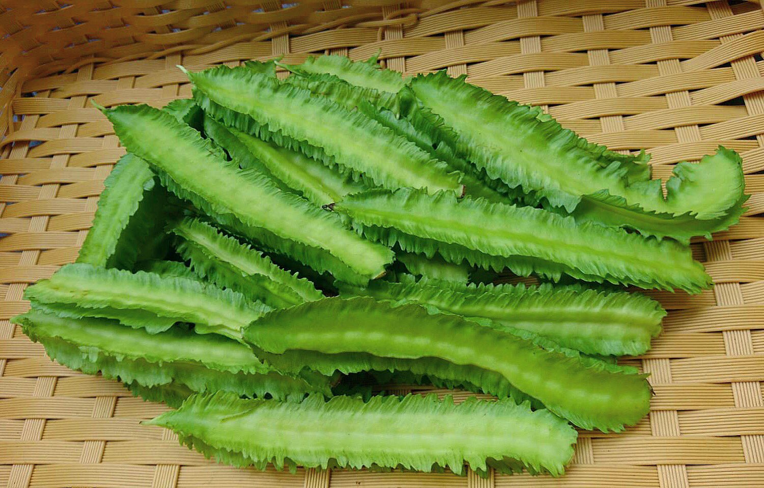 小笠原諸島父島 洋風居酒屋chara 宣伝部長 ついに出ました 四角豆 四角豆も万能な島野菜ですよね 人気の島野菜の１つですね 父島 Chichijima 小笠原 小笠原諸島 Ogasawara Ogasawaraislands Worldnaturalheritagesite Boninisland
