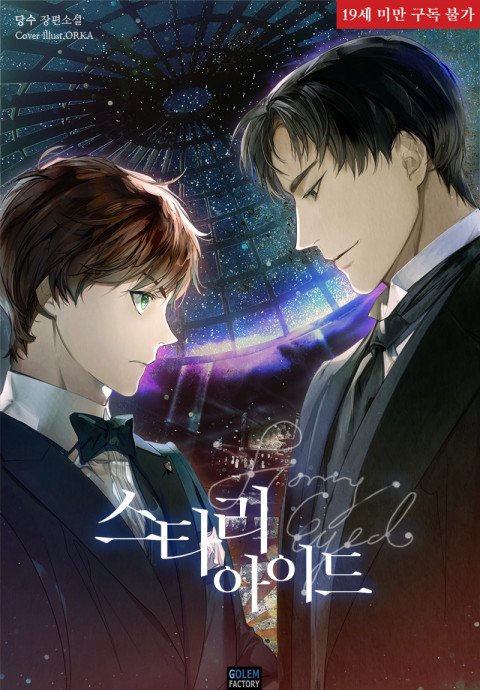 타이틀 외주
당수 작가님 <스타리아이드>