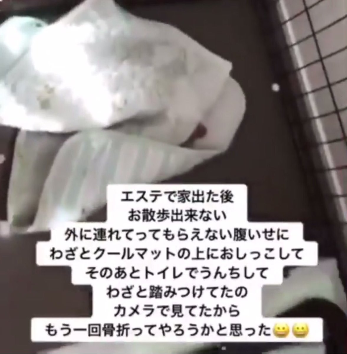 高嶋 りえ子 ツイッター