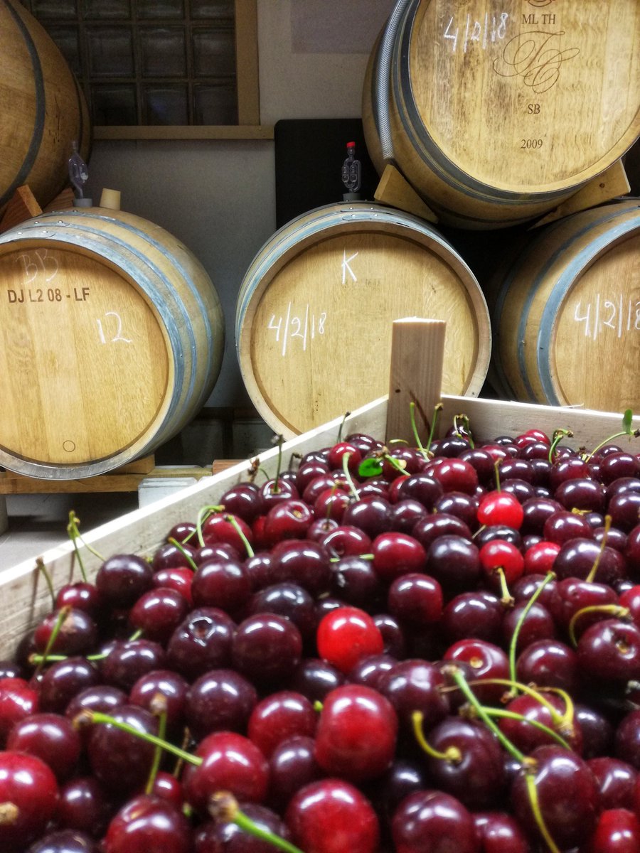 We zijn klaar voor onze jaarlijkse traditie in onze Seizoensbrouwerij Vandewalle. En de link met onze geschiedenis. Vandaag verwerken we 250 kilo Veurnse krieken voor ons topbier 'Reninge Krieken Rood' 2019.