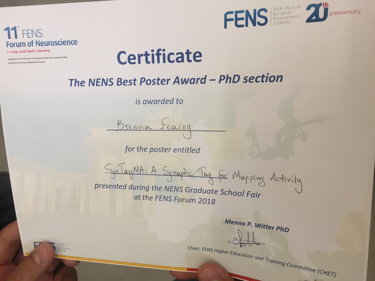 Still can't help but be excited about winning the #NENS poster prize yesterday at the #FENS2018 Thanks for the recognition! @FENSorg
