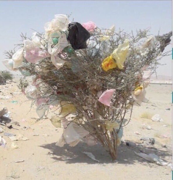 green_qatar's tweet photo. نحتاج في قطر إلى تقليل إستخدام الاكياس البلاستيكية وإعادة تدوير المخلفات ضمن خطة وطنية #قطر_خضراء . https://t.co/HvtT2HVcRy