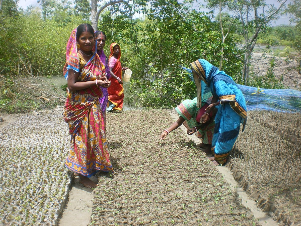 SWielock's tweet image. Recognizing the power of wetlands  @RamsarConv archive.ramsar.org/cda/en/ramsar-…