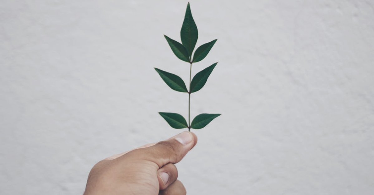 StudentworkSE's tweet image. Det är viktigare än någonsin att vara medveten om miljön. Man kan lätt känna sig obetydlig i frågan, ”vad gör det för skillnad om jag sorterar eller inte”, men tillsammans blir skillnaden enorm. Läs våra 4 bästa tips för att skapa ett miljömedvetet kontor! bit.ly/2NI7F4f