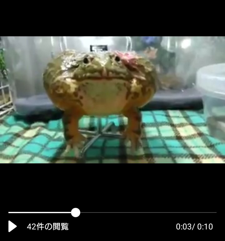 レプ Abb7ucfkggmtms5 Twitter