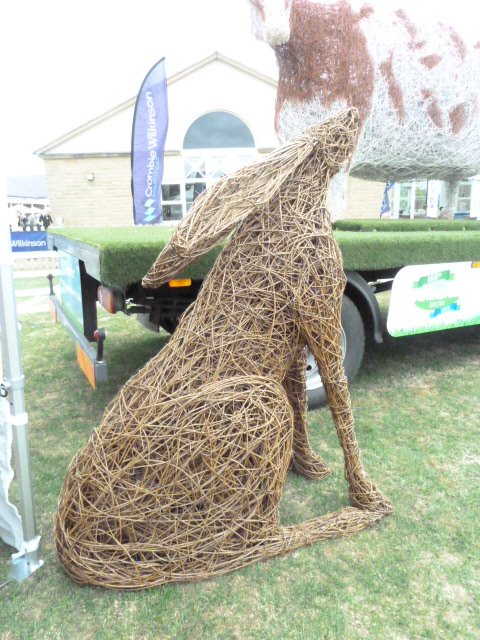 WidgeWatch's tweet photo. There's a mighty big hare at the Great Yorkshire Show @greatyorkshow #WednesdayWisdom #rabbit https://t.co/nF2Df3MBod