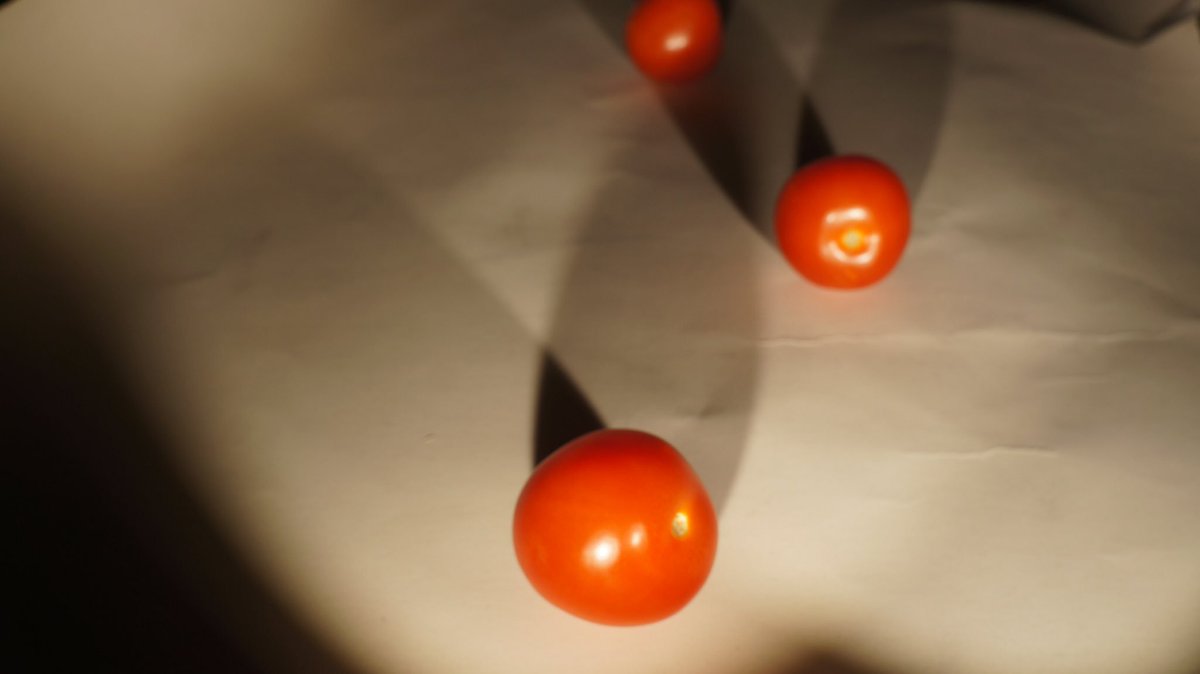 Kristina Allison tweet media