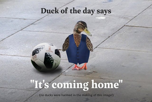 ⚽🦆 A special announcement ⚽🦆