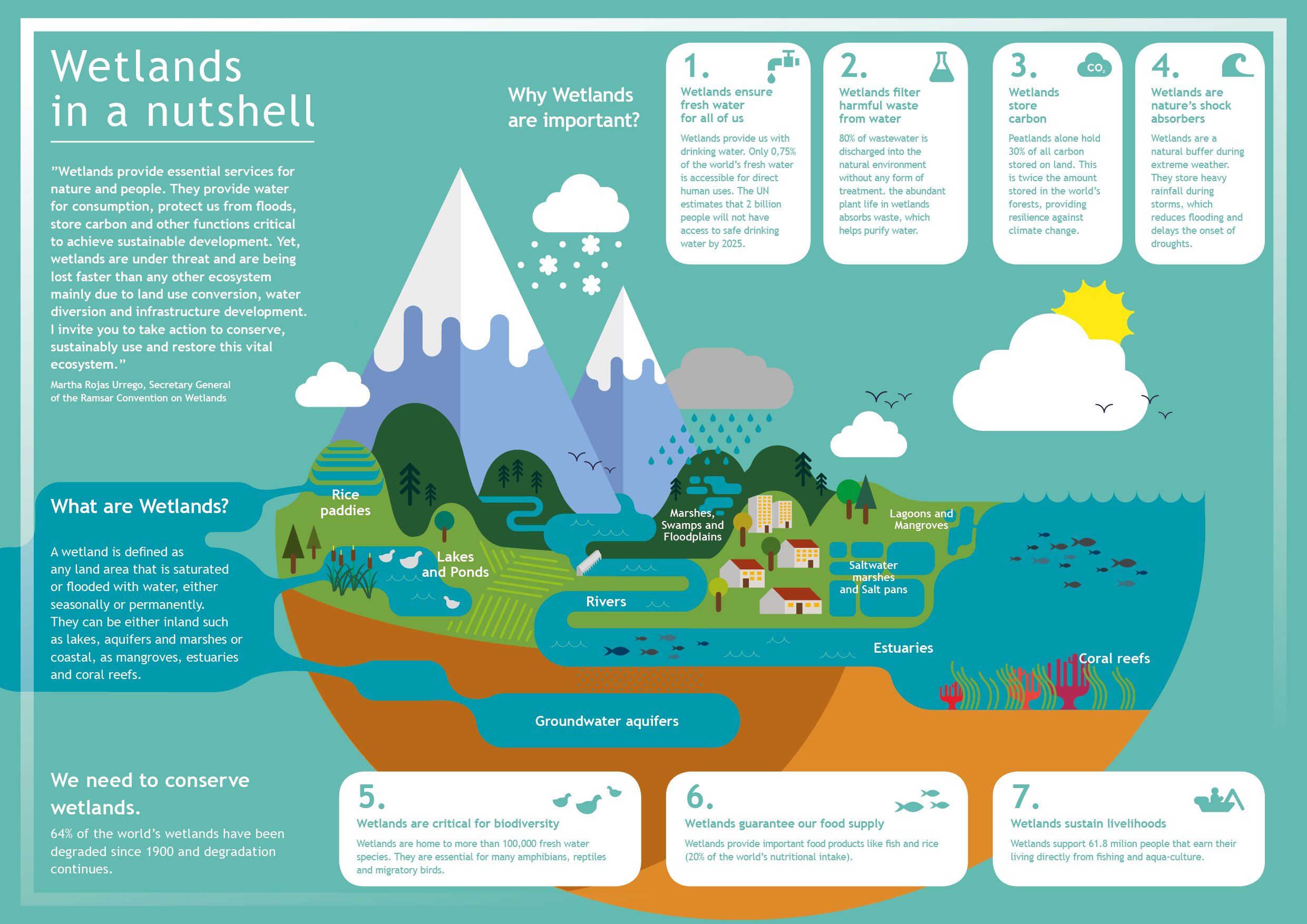 What is the Littoral Zone? – Bird Collective