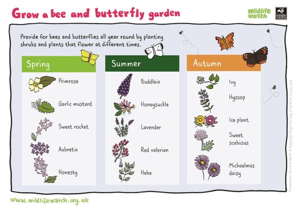 LGSpace's tweet image. You can provide for bees and butterflies all year round by planting shrubs and plants that flower at different times 🐝 Pic via @wildlifewatch 
#BeesNeedsWeek #pollinators #gardening